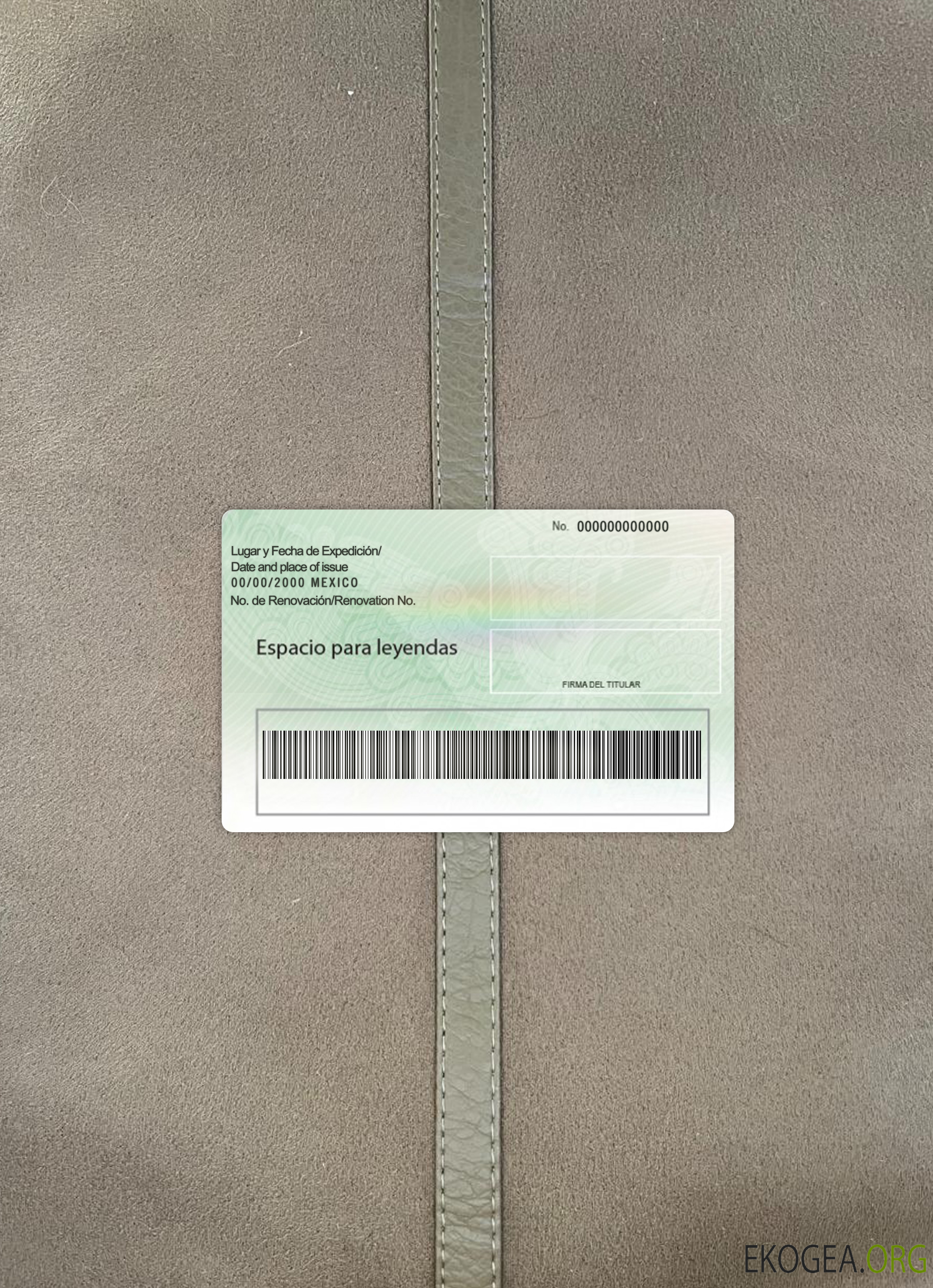 Photo de la carte verte mexicaine (permis de séjour) en arrière